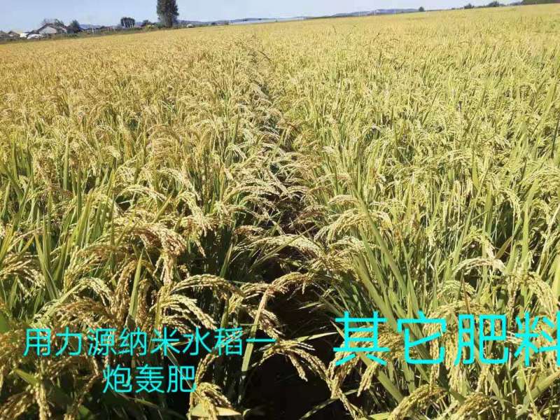 &#107;&#97;&#105;&#121;&#117;&#110;&#24320;&#20113;&#23448;&#26041;&#32593;&#39029;&#29256;&#45;&#107;&#97;&#105;&#121;&#117;&#110;&#24320;&#20113;&#40;&#20013;&#22269;&#41;